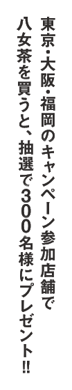 八女茶でチルする？